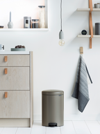 Brabantia Çöp Kutusu 20 litre Newicon Pedallı Platin 114045