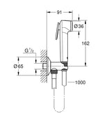 Grohe Tempesta-F Taharet Sprey Takımı - 26358000 teknik çizim
