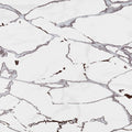 14oraitaliana Yer Duvar Karosu Marmorae Carrara 60 x 60 cm