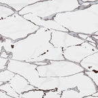 14oraitaliana Yer Duvar Karosu Marmorae Carrara 60 x 60 cm