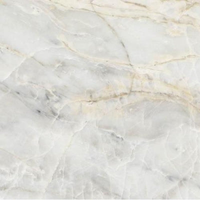 Unica Target  Yer Karosu I Marmi Borbone Glossy 120 x 120 cm