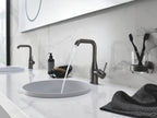 Grohe Sabunluk ve Diş Fırç. Tut. Essentials Brushed Hard Graphite - 40369AL1