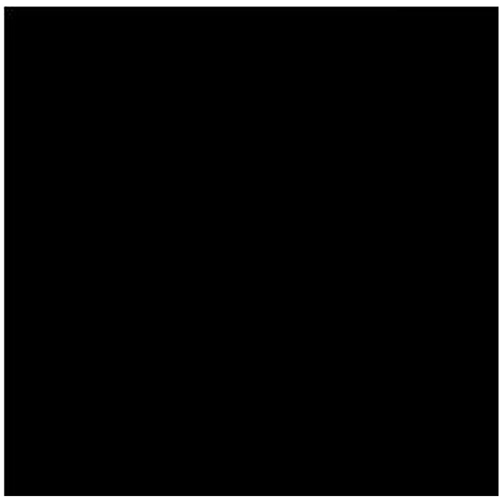 Porcelanosa Yer Karosu  E x treme Black 59.6 x 59.6 cm Kutu İçi 1.07 m²