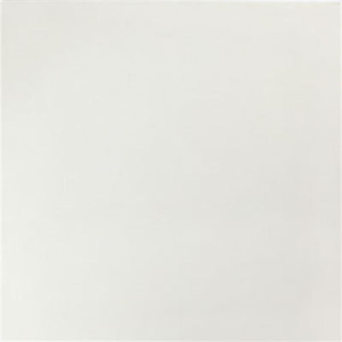 Seramiksan Yer Karosu Granito White 60 x 60 cm