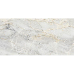 UnicaTarget Yer Duvar Karosu I Marmi Borbone Glossy  60 x 120 cm